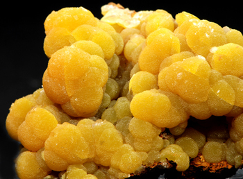 Mimetite -  San Pedro Corralitos Mine, Mun. de Casas Grandes, Chihuahua, Mexico